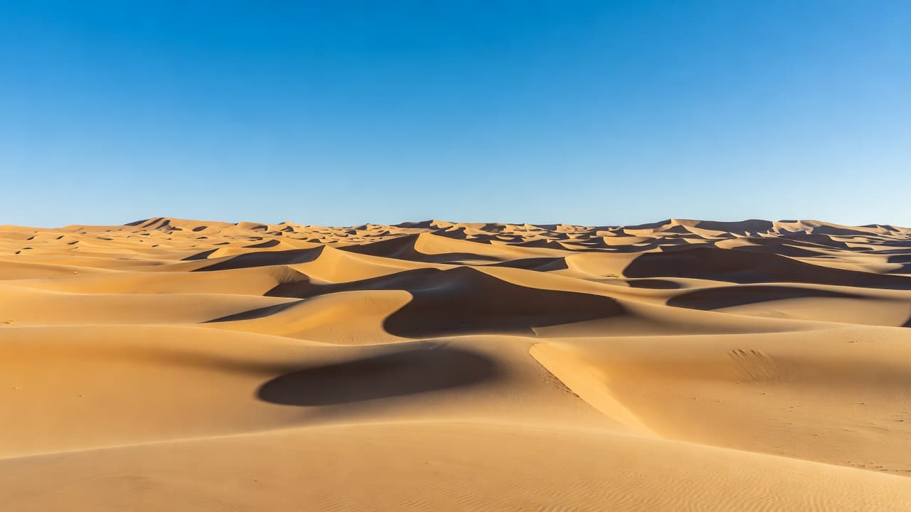 Rolling golden sand dunes stretch toward the horizon under a vivid azure sky. The warm sunlight highlights the soft textures of the shifting desert sand across this vast, remote landscape.