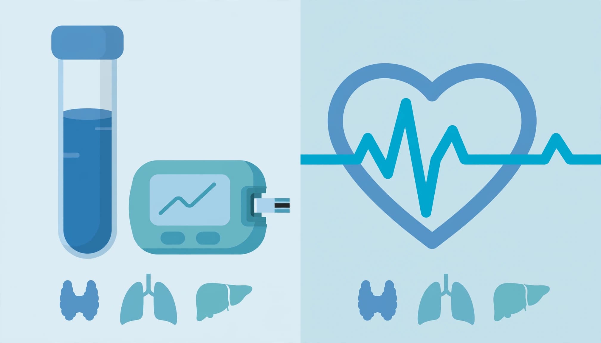 A vector illustration showing a blood sample tube, monitor, heart icon, and organ icons.