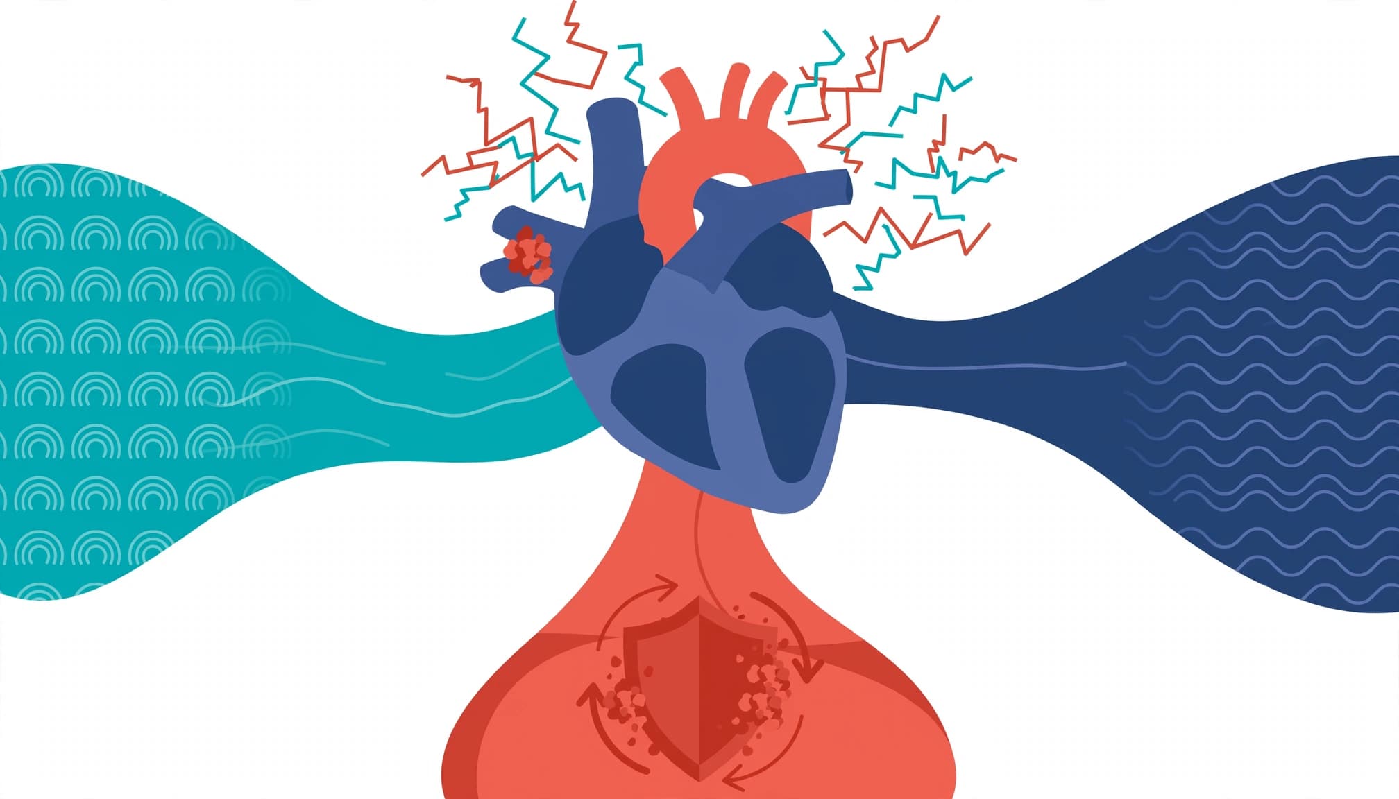 A vector illustration of a heart with electrical waves and color-coded pathways.