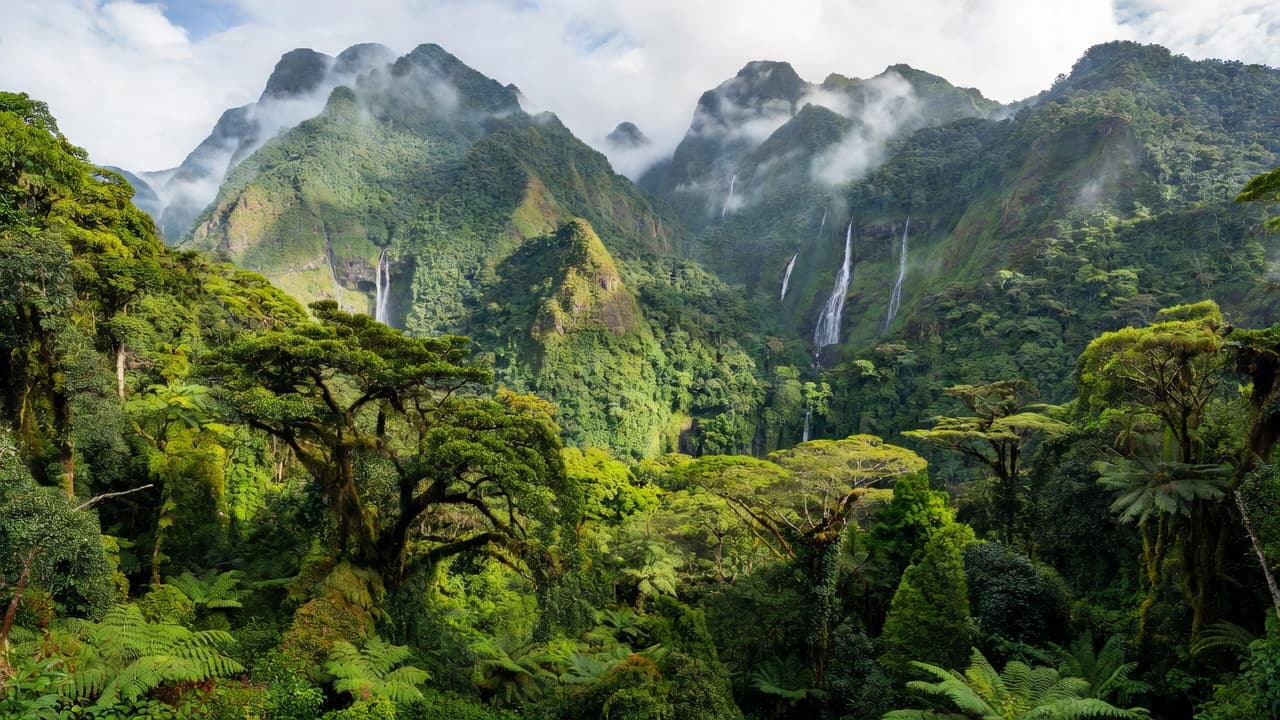 Dense emerald canopy stretches across jagged mountain ridges shrouded in thick morning mist with cascading waterfalls in Dominica.