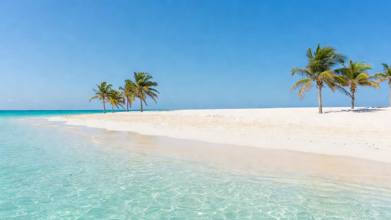 Crystal clear turquoise waves lap against pristine white sand under a brilliant blue sky with vibrant green palm trees leaning over the shore.