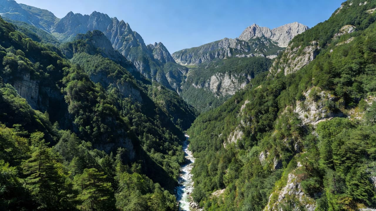 Tara River Canyon in Montenegro showing a deep verdant gorge cutting through rugged mountain terrain with a winding river below.