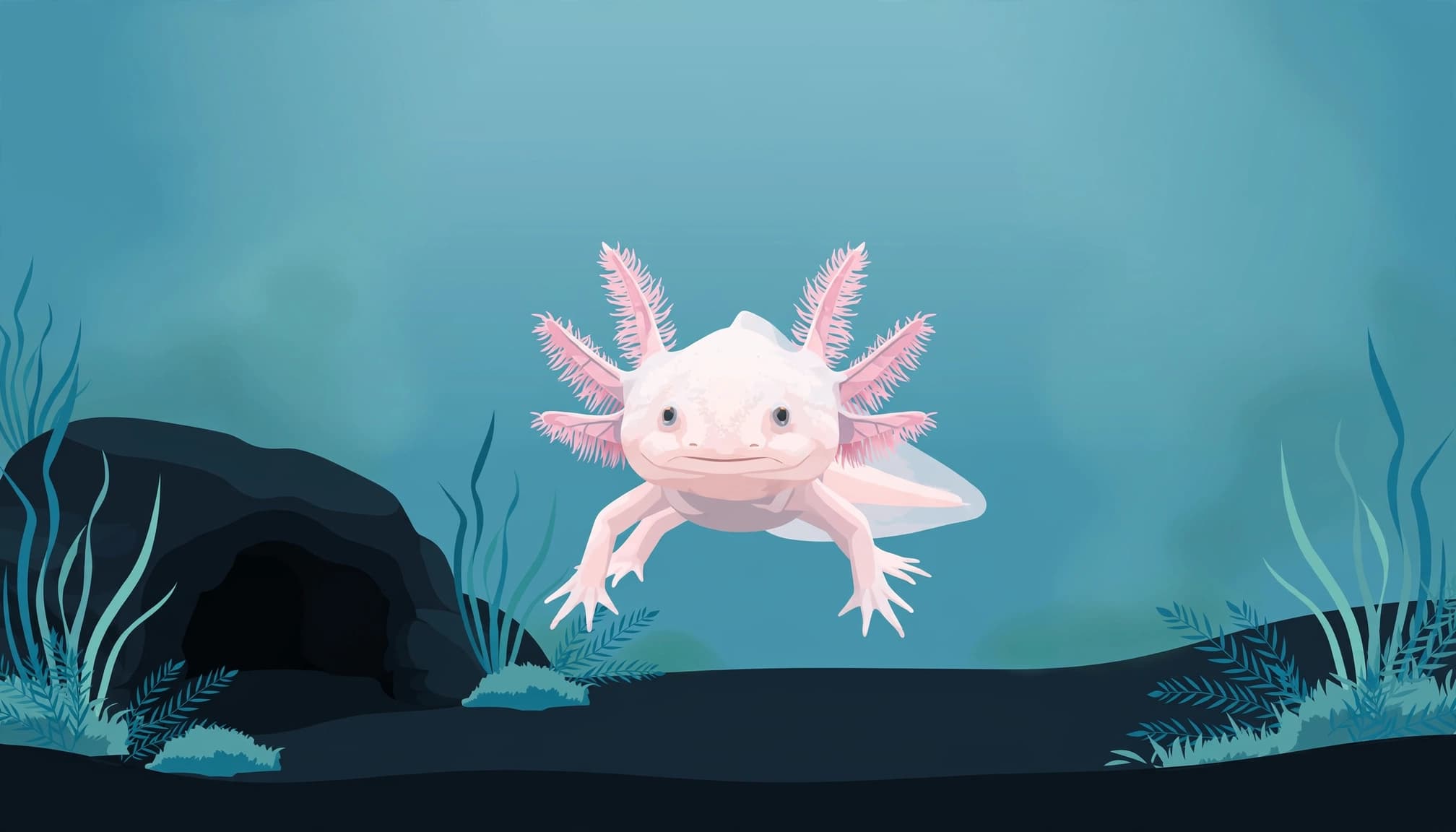 A pink axolotl with external gills in a planted freshwater aquarium.