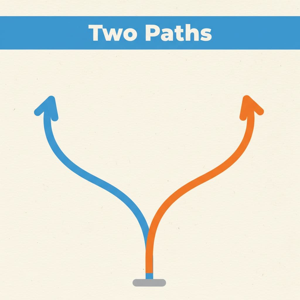 Understanding Curative vs Palliative Care in Plain English 2 A minimalist graphic features two branching paths against a textured background with a blue header bar.