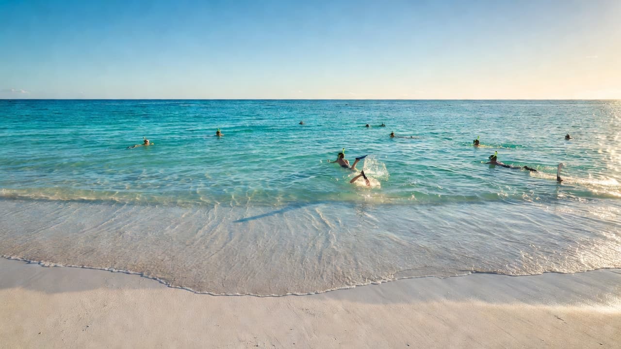 Crystal clear turquoise water gently laps at a pristine sandy shore under a bright sky. In the distant blue water, small figures of snorkelers explore the vibrant coral reef ecosystem.