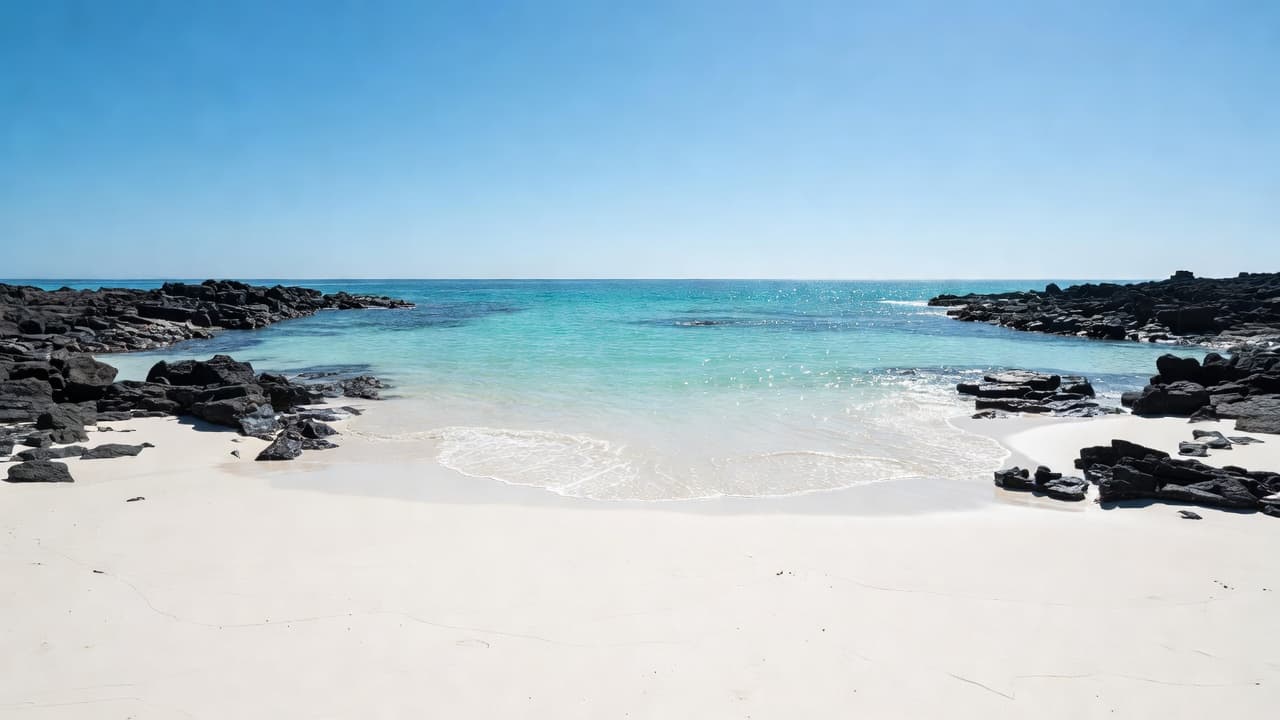 A stretch of white sand meets turquoise water, framed by jagged black lava rocks. Bright sunlight illuminates the shoreline while the clear blue sky reflects on the calm, sparkling ocean surface.
