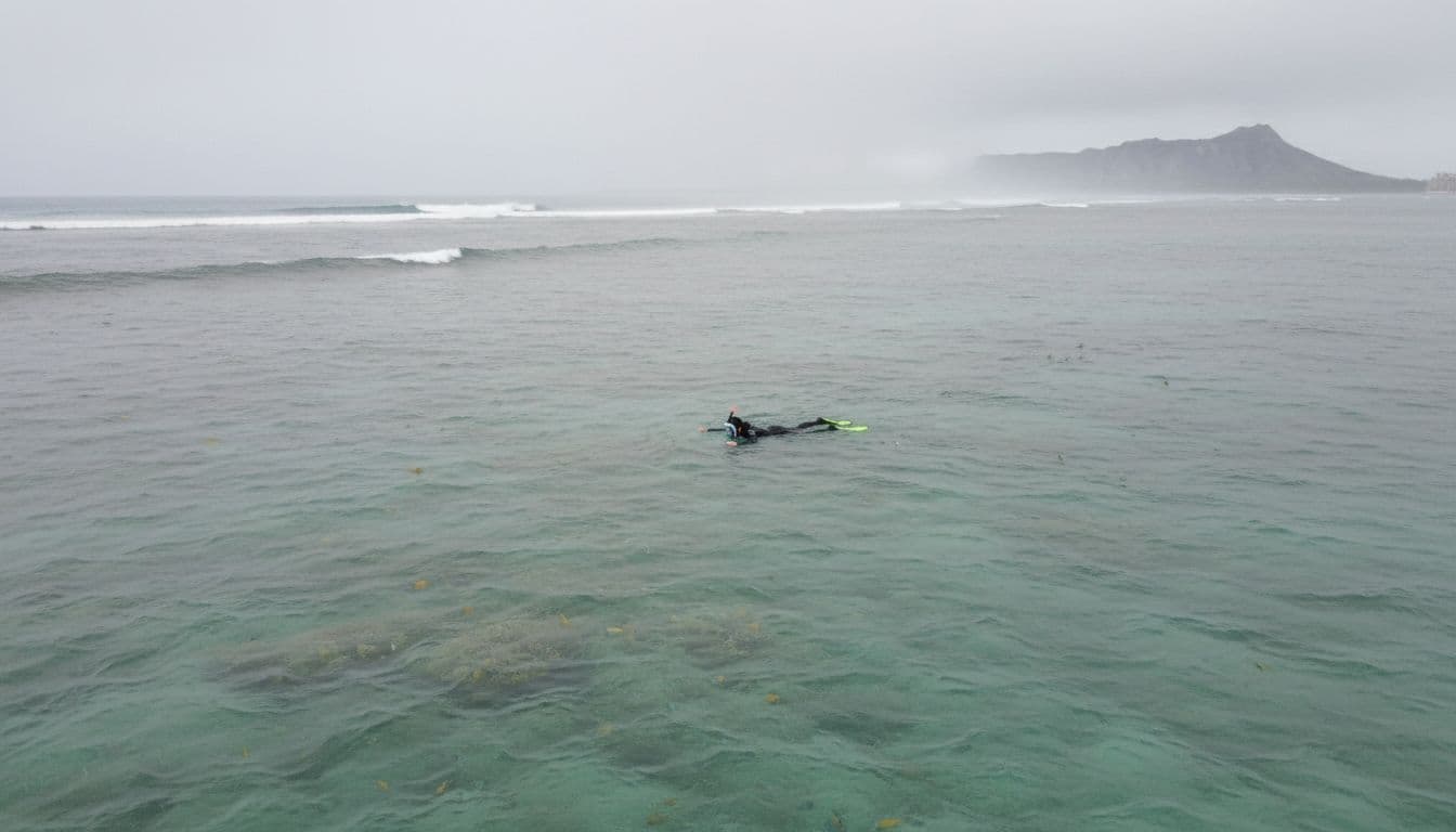 Snorkeler floating on the surface in Waikiki ocean during winter, showing moderate visibility with gentle swells, sediment in water, and faintly visible coral and fish below under an overcast sky with nearby light rain.