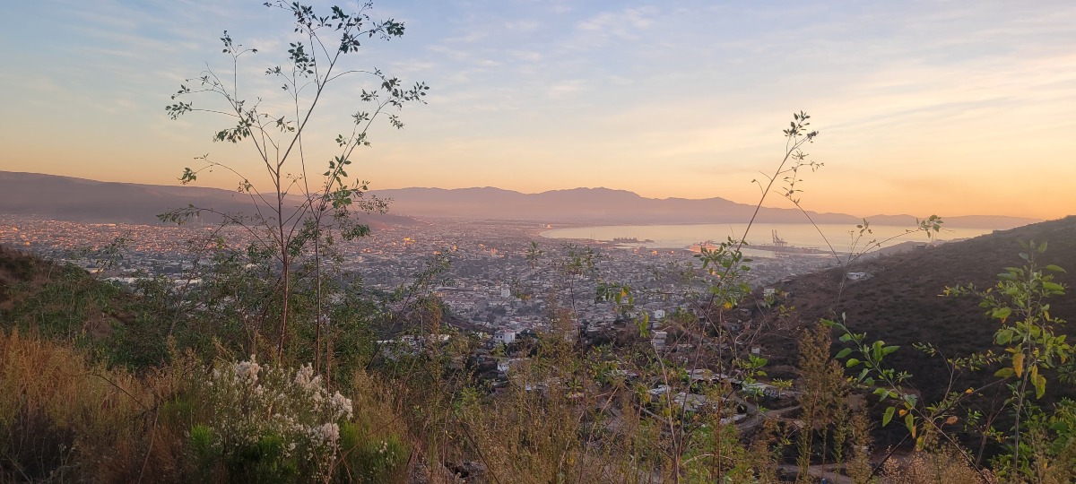 Kid-Friendly Volcano Hikes Near Mexico City with parents and kids walking a wide forest trail on a clear day